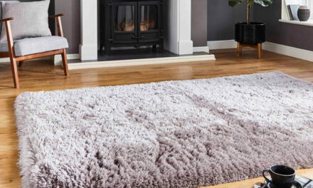 Jak vybrat koberec