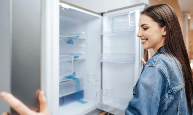 Jak vybrat lednici s mrazákem? Důležité jsou i provozní náklady