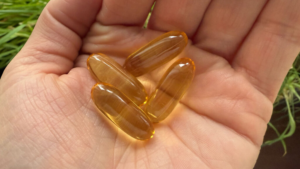 Omega 3 rybí olej kapsle, detail, recenze Stretchfit.cz